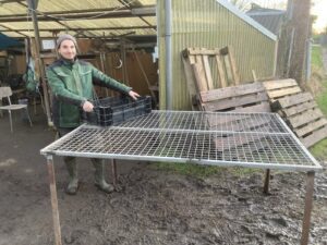 Großes Metallgitter auf Beinen (Abtropfgitter) steht auf matschigem Boden, eine Person in Arbeitskleidung und Gummistiefeln stellt in präsentierender Absicht eine Packkiste darauf ab