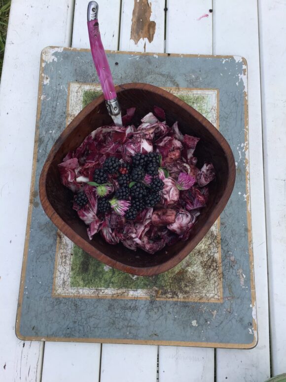 Neues vom Acker KW 4